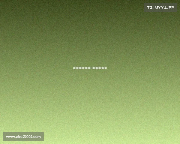 德甲联赛全新赛季看点分析 球迷如何见证精彩激战